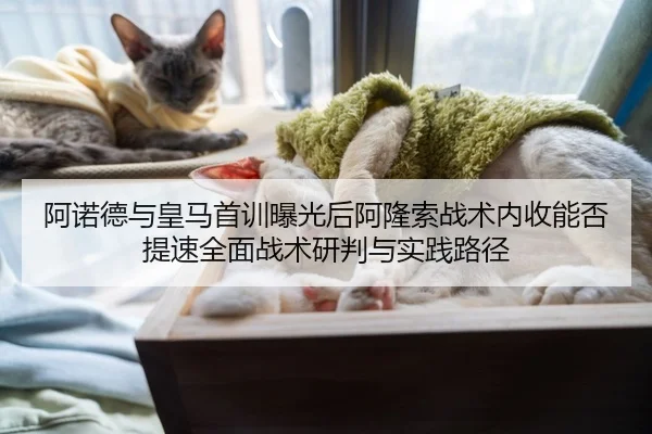 阿诺德与皇马首训曝光后阿隆索战术内收能否提速全面战术研判与实践路径