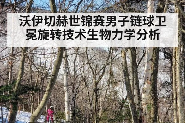 沃伊切赫世锦赛男子链球卫冕旋转技术生物力学分析